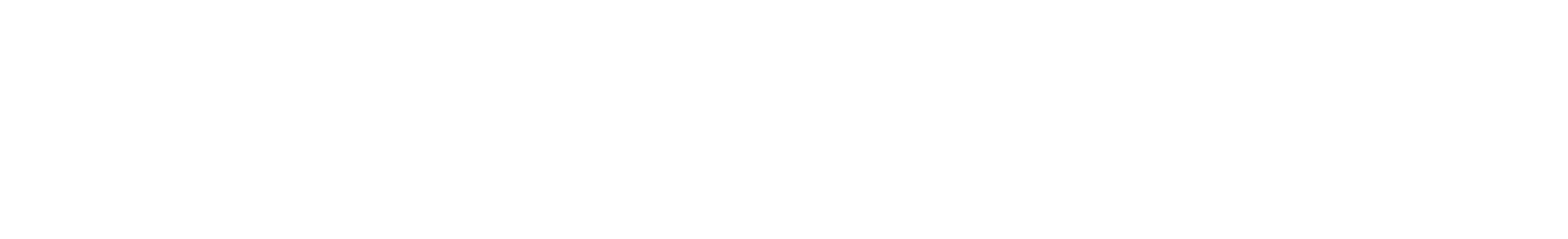 Nxt Gen flexile-white-logo